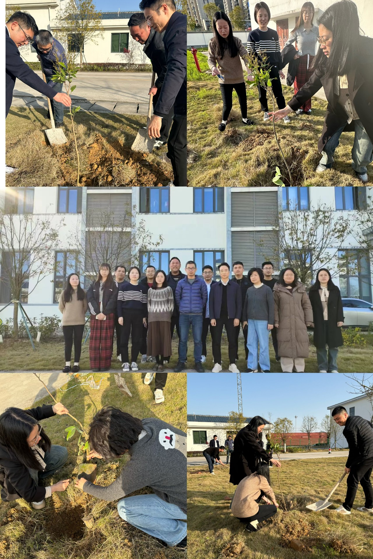 2024-3-12綠色陸港，美麗寧德，阮克妙拍攝.jpg